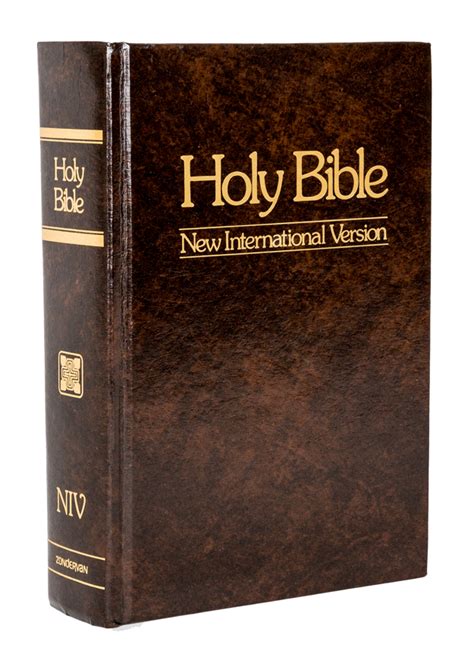 english bible new international version|new international version nt published.